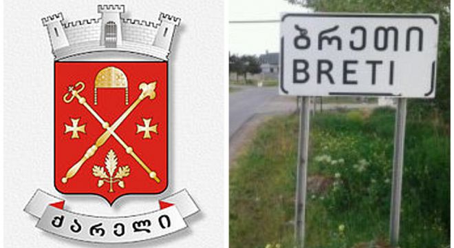 რა გახდა დღეს ქარელის რაიონში 2 წლის ბავშვის გარდაცვალების მიზეზი