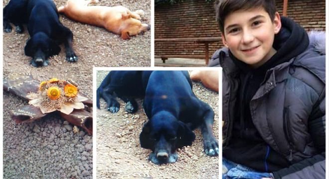 "ლუკას ბობი და შაკო... დღისით, ღამით, ყოველდღე მიდიან მის საფლავზე და ასე წვანან..." - ექიმების დაუდევრობით გარდაცვლილი 16 წლის ბიჭის დედა სულის შემძვრელ ფოტოსურათებს აქვეყნებს