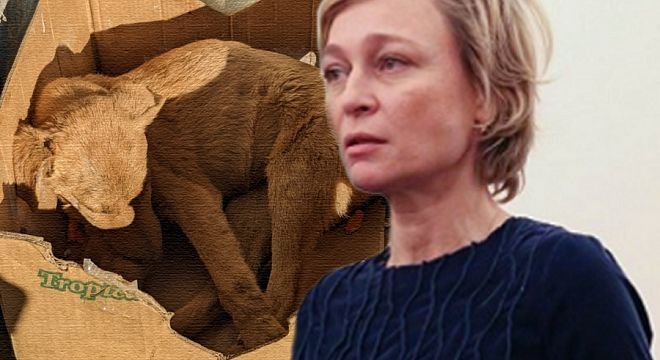 დღეს შემთხვევით ვნახე წალკაში და საშინლად გულდამძიმებული ვწერ...