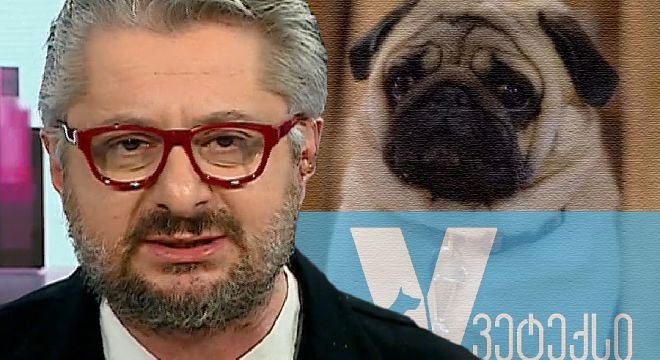 ხომ არ ფიქრობთ, ჯანმრთელი ძაღლის მოკვლას შეგარჩენთ... დაბადების დღეს გაწყევლინებთ თითოეულ თქვენგანს, თქვე მკვლელო ნაძირლებო