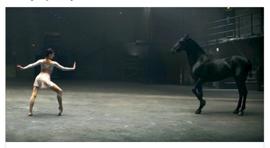 ბალერინა ცეკვას იწყებს, მაგრამ როცა დავინახე ცხენმა რა გააკეთა, ყბა ჩამომივარდა! ბრავო!