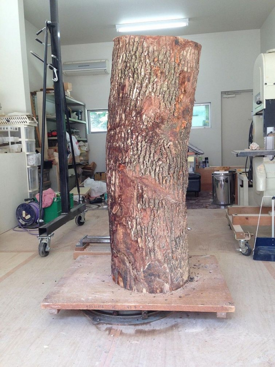 რთულია  დაიჯეროთ,  რმ  ამ  ხის  მორისგან  ხელოვნების  ასეთი  საოცარი  ნიმუშები  იქმნება (24  ფოტო)
