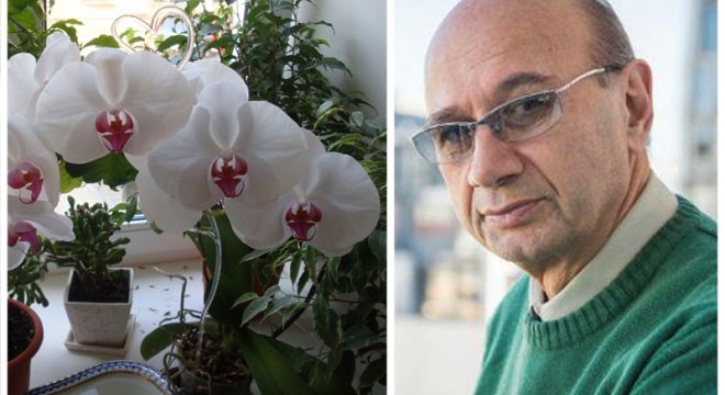 ყვავილები, რომლებიც თქვენს ენერგეტიკას აძლიერებენ ზოდიაქოს ნიშნის მიხედვით