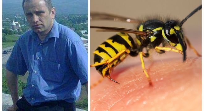 "კრაზანებს დაუკბენიათ, 2 წუთში გარდაცვლილა მთელი სოფლის თვალწინ..." - ზესტაფონში უკვე 2 ადამიანი გარდაიცვალა