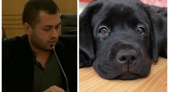 პარლამენტი განიხილავს კანონს, რომლის მიხედვითაც ძაღლების პატრონები ძაღლის ყოველი დაყეფვის შემთხვევაში 50 ლარიან ჯარიმას გადაიხდიან