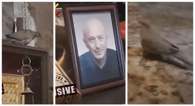 რუხი მტრედი იჯდა ზურა დოიჯაშვილის საკაცესთან და არ შორდებოდა - რა სასწაული მოხდა მომღერლის დაკრძალვის დღეს