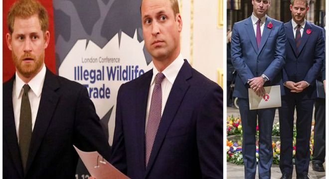 პრინცი ჰარი და უილიამი ერთობლივ საგანგებო განცხადებას ავრცელებენ