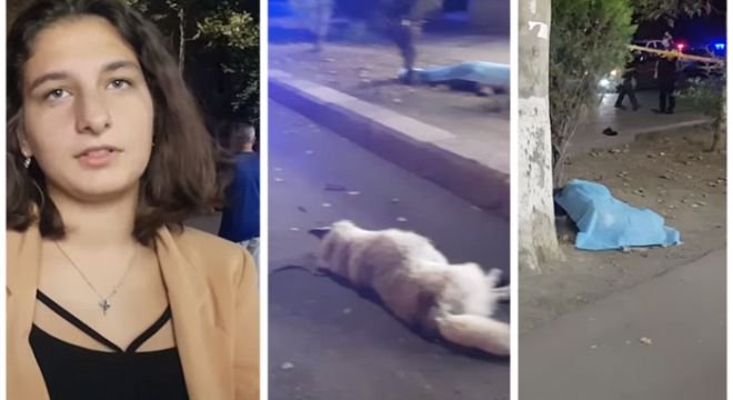 "შავი მუსტანგი იყო, დაეჯახა და მიიმალა..." - უმძიმესი ვიდოეკადრები ადგილიდან სადაც 16 წლის გოგონა და მისი ძაღლი ავარიას ემსხვერპლნენ