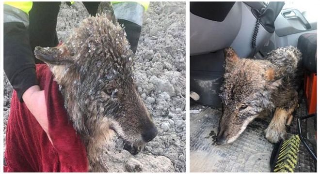 საგანგებო სიტუაციების მართვის სამსახური მომდევნო დღების ამინდსა და არსებულ სიტუაციაზე განცხადებას ავრცელებს