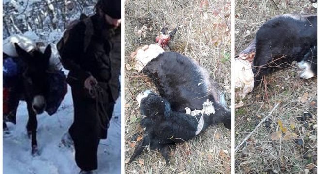 "დავიღუპე, ახლა რაღა მეშველება..." - მამა დებასტიანე განცხადებას ავრცელებს და შემზარავ ფოტოსურათებს აქვეყნებს